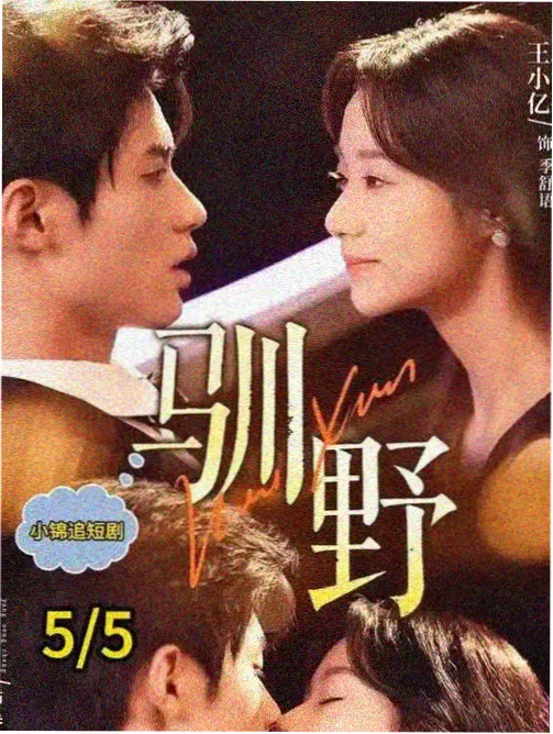 纪实节目城市漫游者高清视频在线观看画面